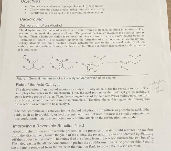 Solved Report Sheet Lab 10 Dehydration of an Alcohol Report
