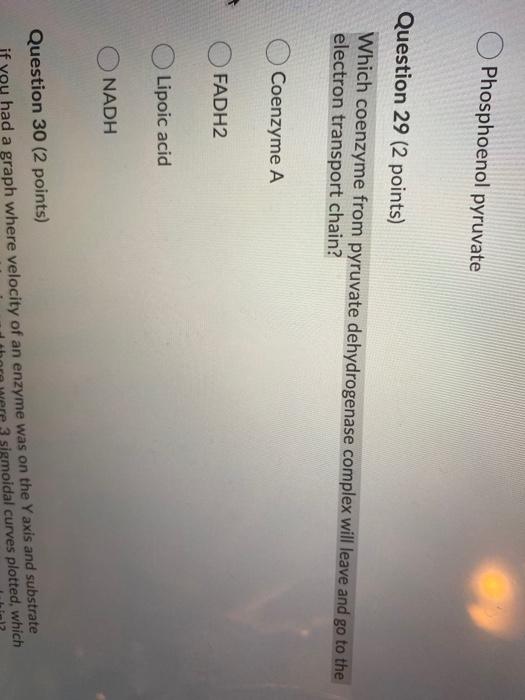 Solved Phosphoenol pyruvate Question 29 (2 points) Which | Chegg.com