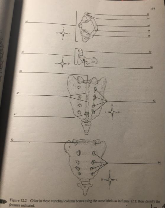 Solved 10 되지 회지 0 0 1 10 o Figure 12.2 Color in these | Chegg.com