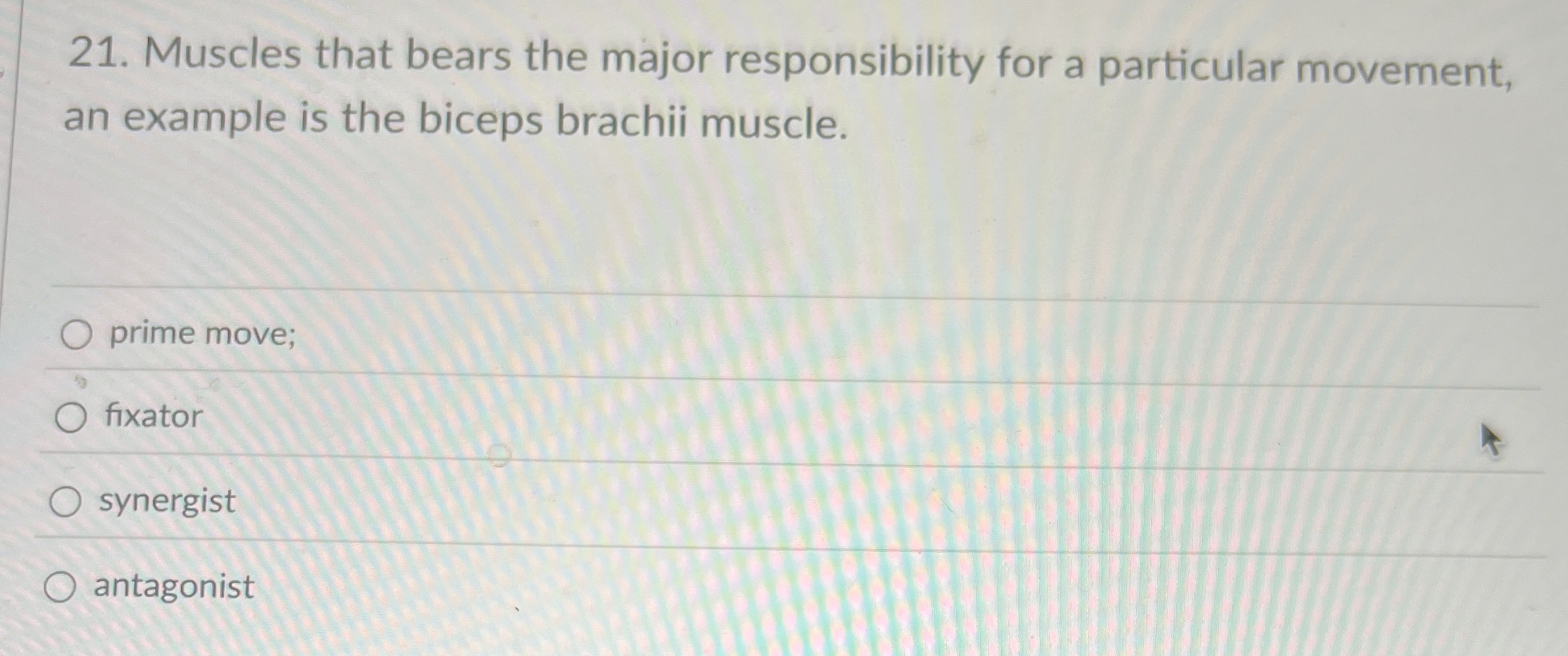 Solved Muscles that bears the major responsibility for a | Chegg.com