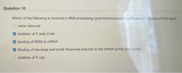 Solved Which of the following is involved in RNA processing | Chegg.com