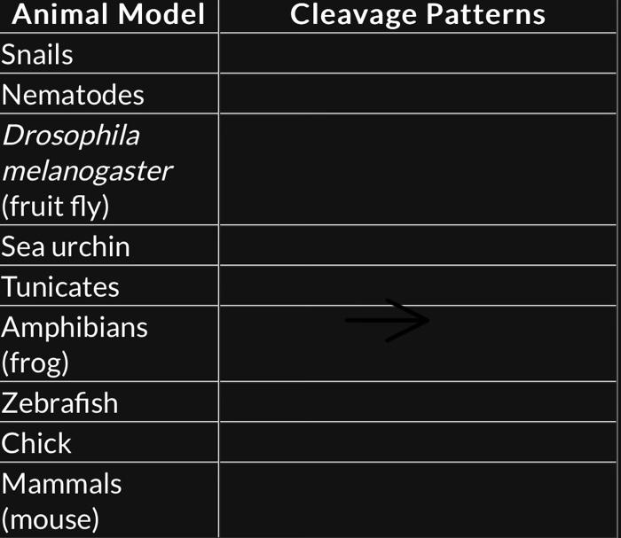 Solved \begin{tabular}{l} Animal Model \\ \hline Snails \\ | Chegg.com