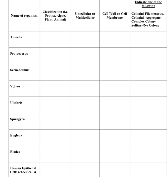 Amoeba Classification Chart