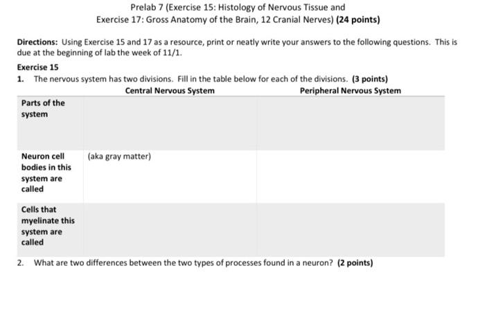 Solved Prelab 7 (Exercise 15: Histology Of Nervous Tissue | Chegg.com