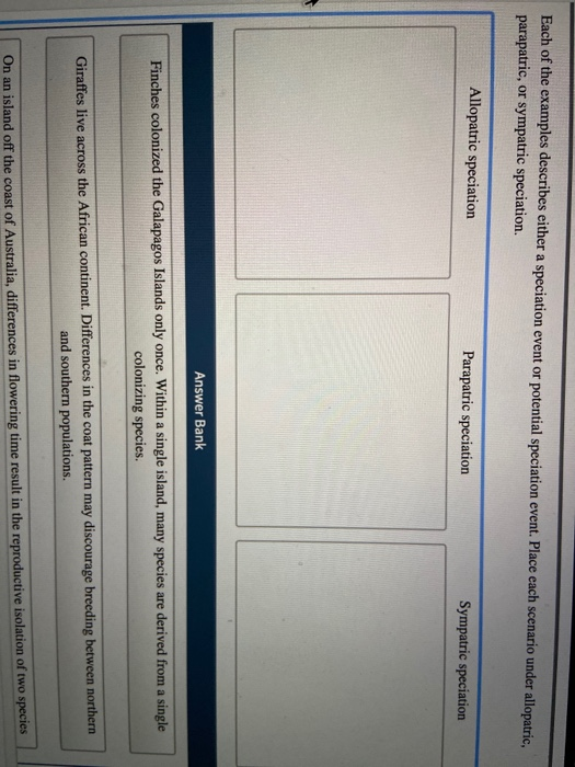 Solved Each of the examples describes either a speciation