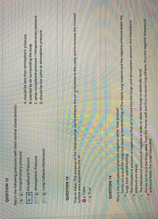 Solved QUESTION 12 Match the following pressures with their | Chegg.com