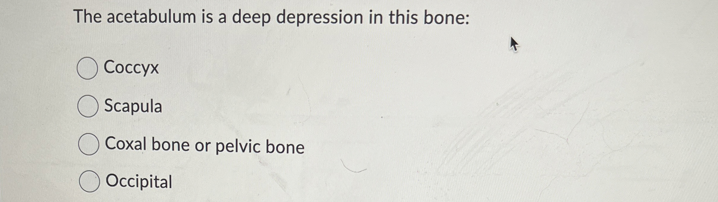 Solved The acetabulum is a deep depression in this | Chegg.com