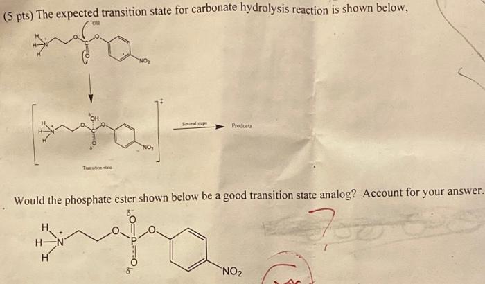 Solved 5 pts) The expected transition state for carbonate | Chegg.com