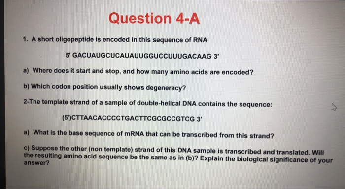 Solved Question 4-A 1. A short oligopeptide is encoded in | Chegg.com