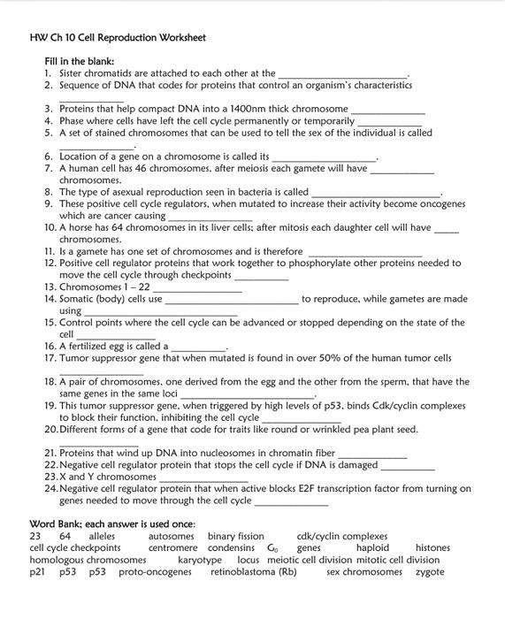 Solved HW Ch 10 Cell Reproduction Worksheet Fill In The | Chegg.com