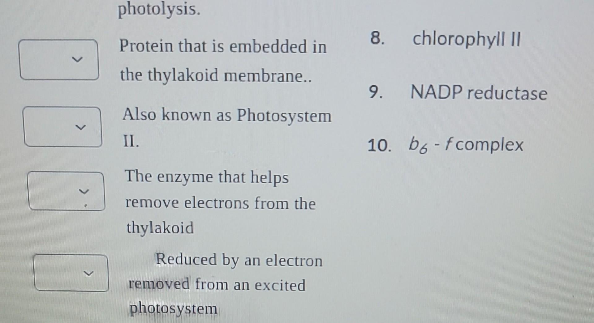 Solved Matching the terms with the statements The enzyme