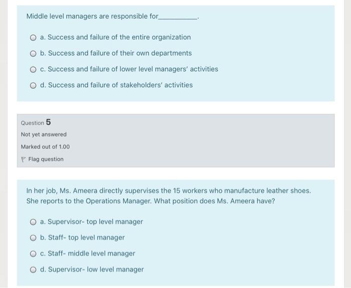 Middle Level Managers Are Responsible For