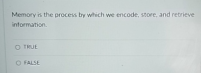 Solved Memory is the process by which we encode, store, and | Chegg.com