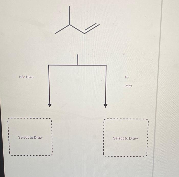 Solved A common alkene startina material is shown below. | Chegg.com