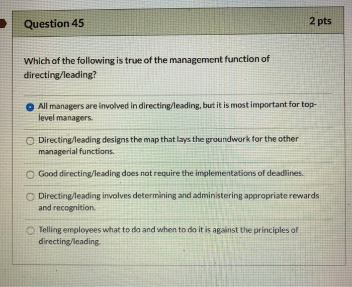 what is directing in management function