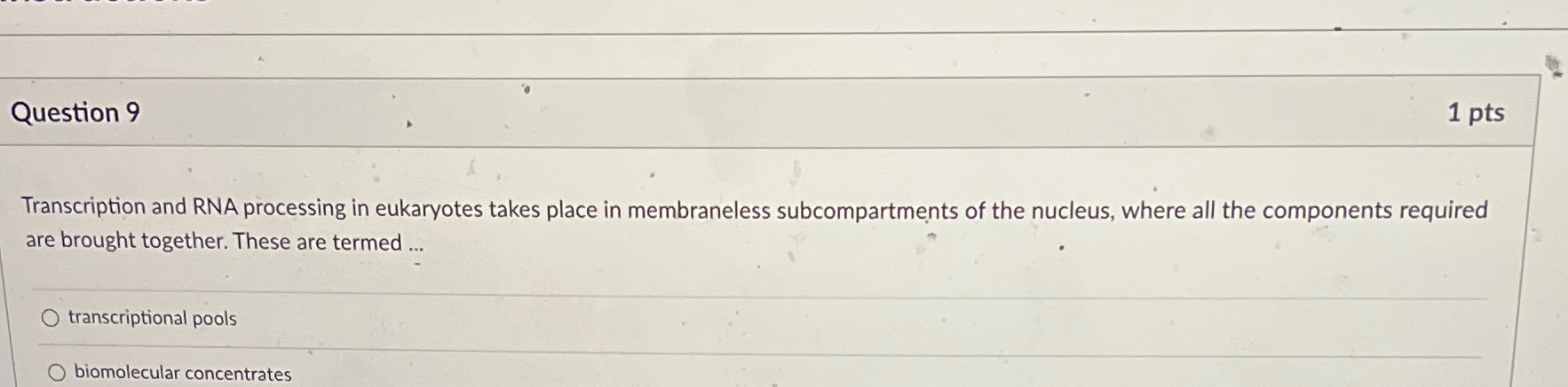 Solved Question 91 ﻿ptsTranscription and RNA processing in | Chegg.com
