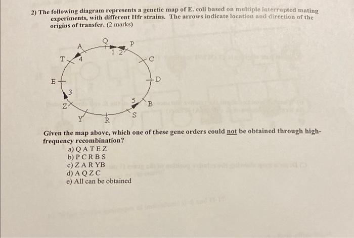 Solved 2) The following diagram represents a genetic map of | Chegg.com