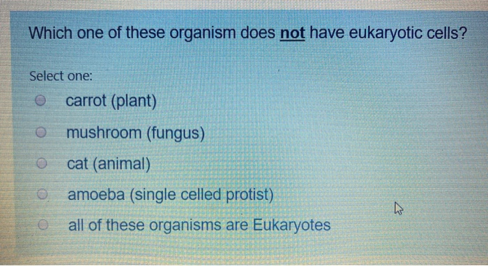 Solved Which one of these organism does not have eukaryotic | Chegg.com
