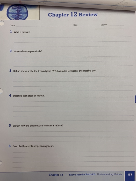 Solved Chapter 12 Review Name Date Section 1 What is | Chegg.com