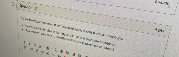 Solved D O words Question 19 You are looking at a number of | Chegg.com