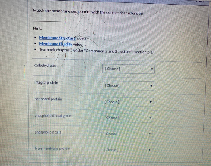 Solved Match the membrane component with the correct | Chegg.com
