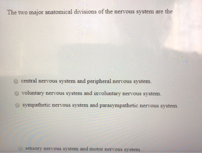 Solved The Two Major Anatomical Divisions Of The Nervous Chegg Solved The Two Major Anatomical Divisions Of The Nervous Chegg
