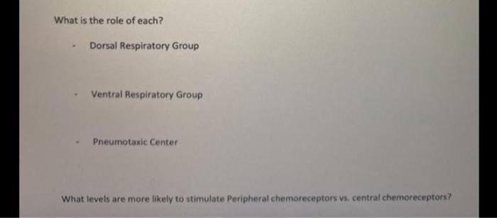 Solved What is the role of each? Dorsal Respiratory Group | Chegg.com