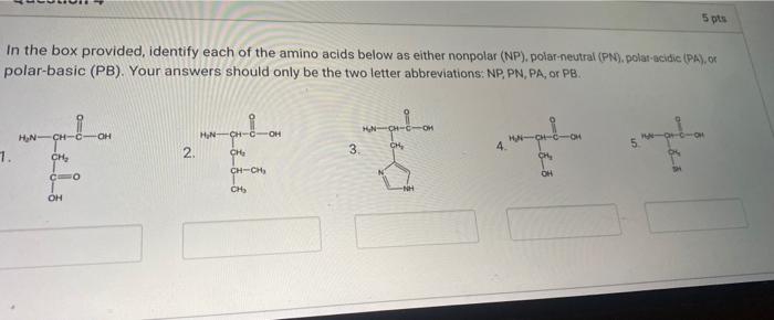 Solved 5 pts In the box provided, identify each of the amino | Chegg.com