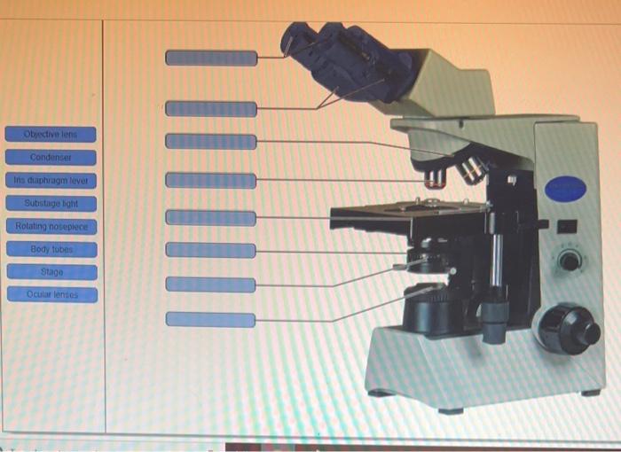Solved Objectivene Condenser Ina diaphragm lever Substage