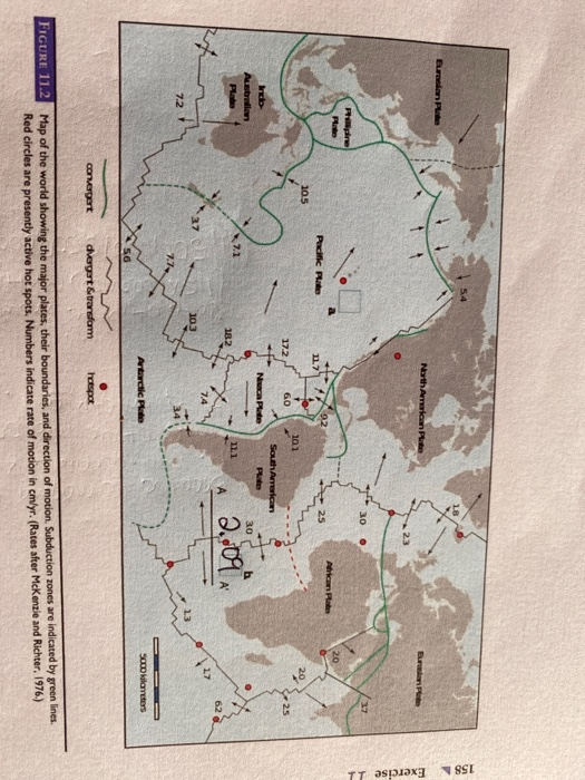 Exercise 11 Continental Drift and Plate Tectonics | Chegg.com