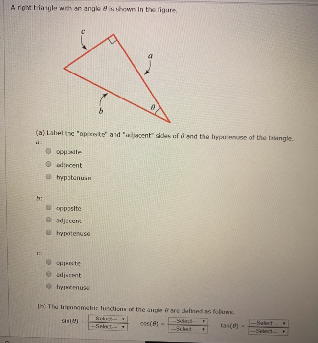 A Right Triangle With An Angle Is Shown In The Chegg Com