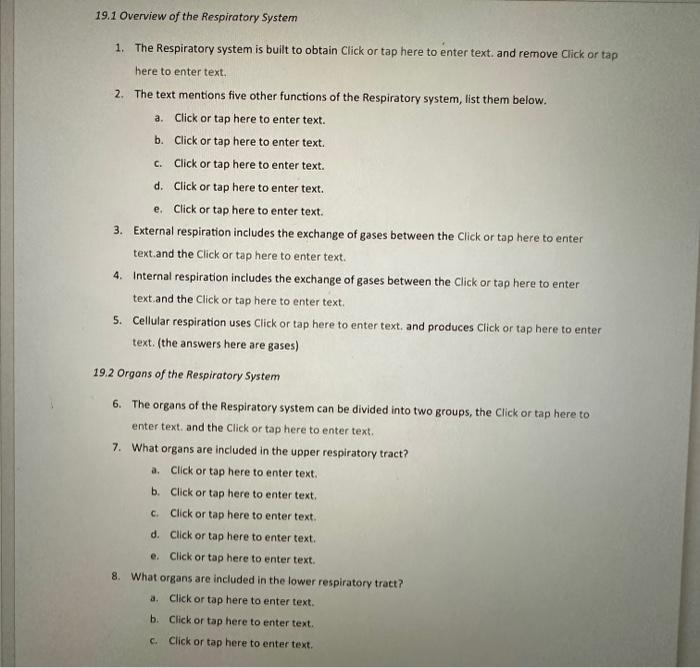 respiratory system assignment answers