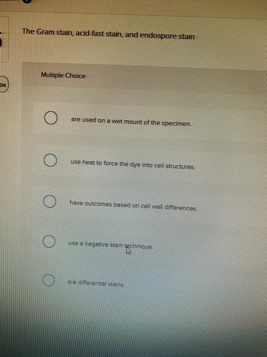 Solved The Gram stain, acid fast stain, and endospore stain | Chegg.com