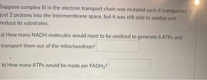 Solved Suppose complex III in the electron transport chain | Chegg.com