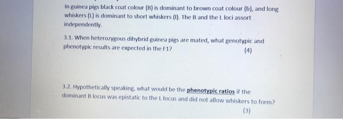 Solved In Guinea Pigs Black Coat Colour (B) Is Dominant To | Chegg.com