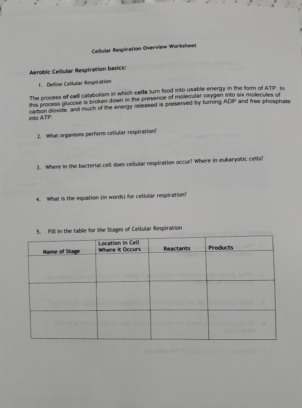 Solved Cellular Respiration Overview Worksheet Aerobic | Chegg.com