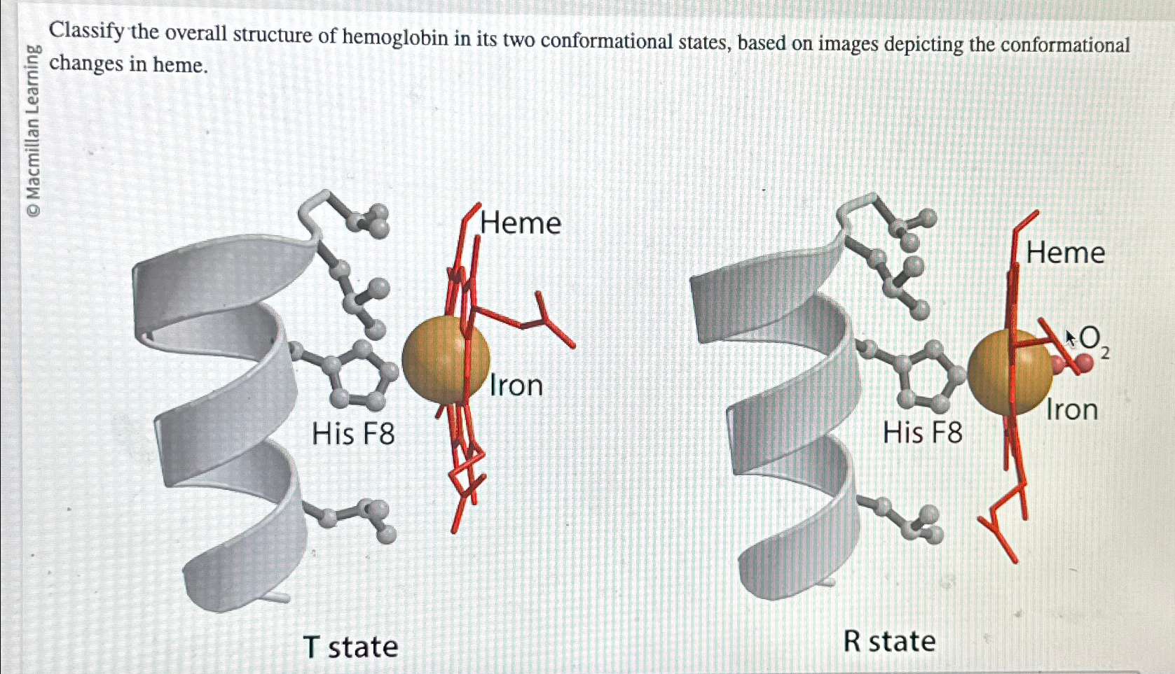Solved changes in heme.T stateR state | Chegg.com