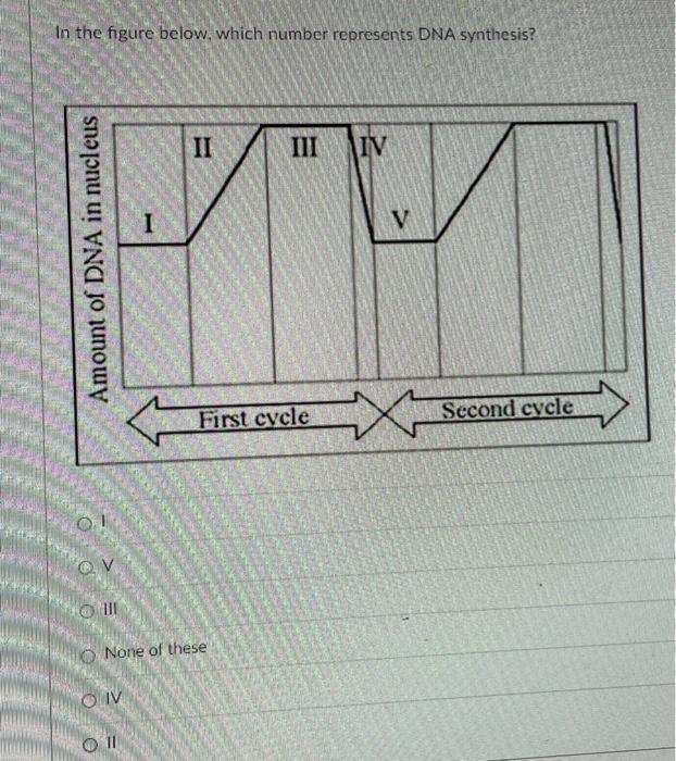 Solved In the figure below, which number represents DNA | Chegg.com
