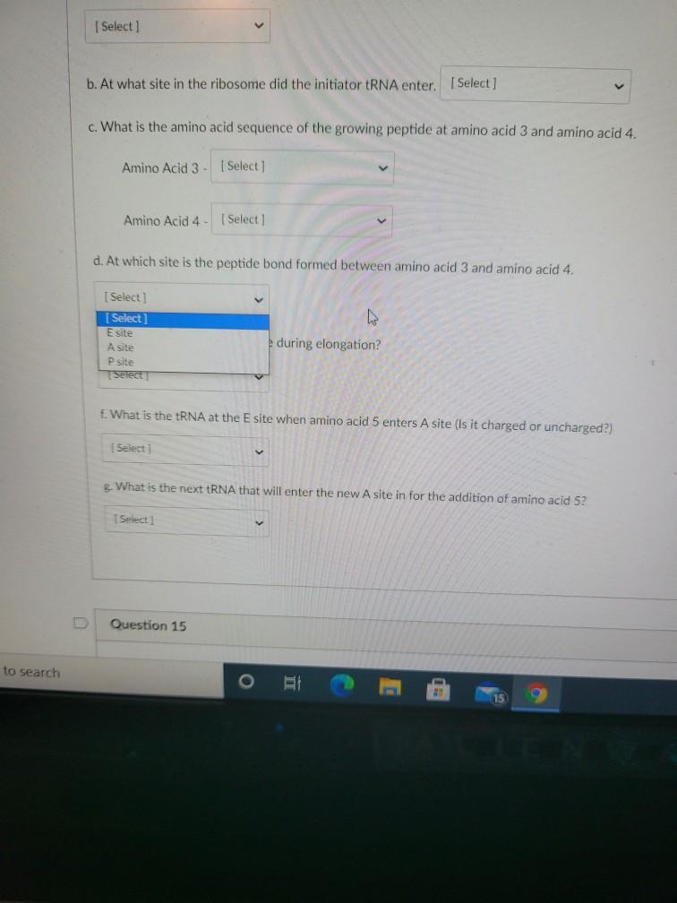 Solved 8p Question 14 Shown below is a ribosome involved in | Chegg.com
