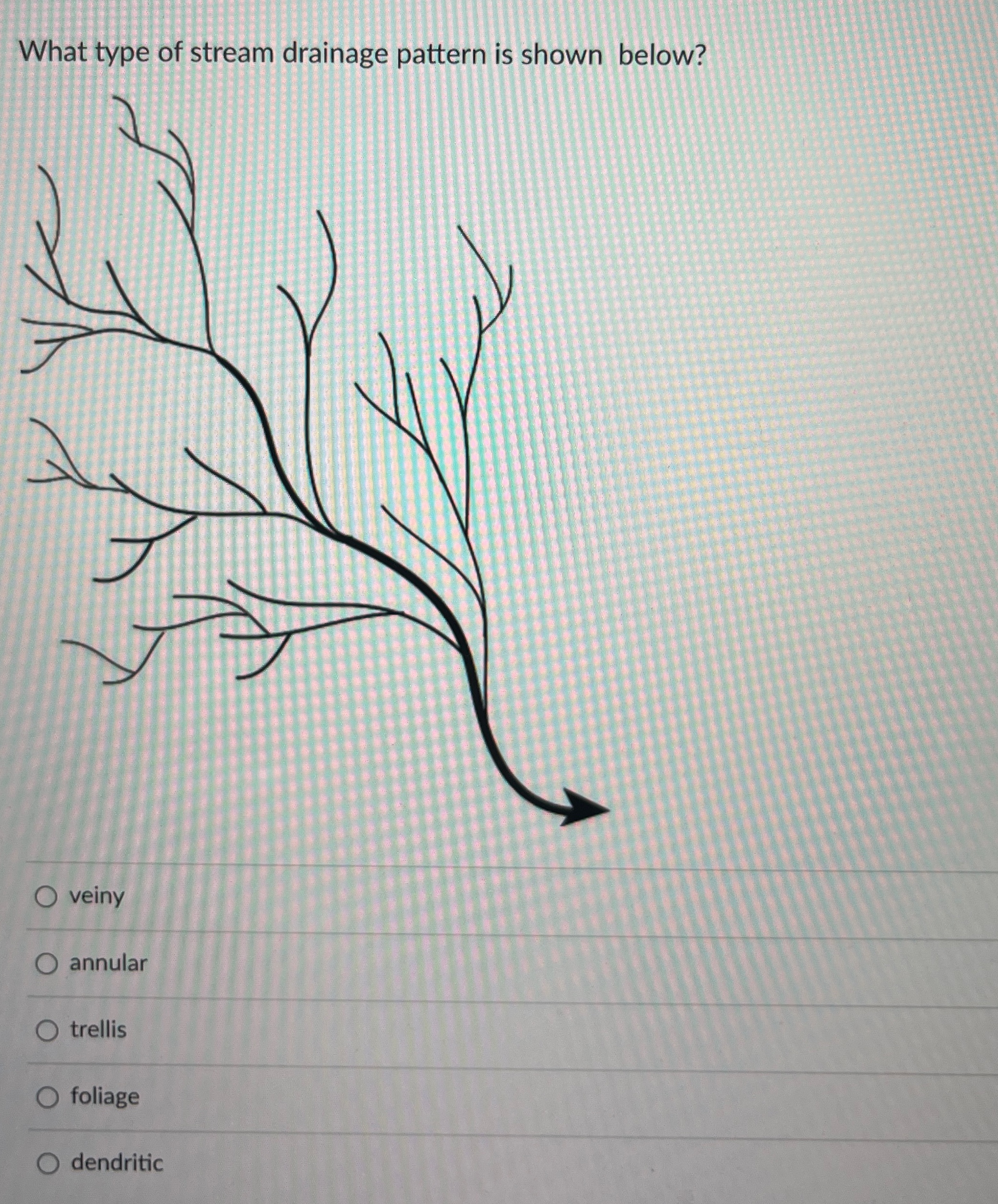 Solved What type of stream drainage pattern is shown | Chegg.com