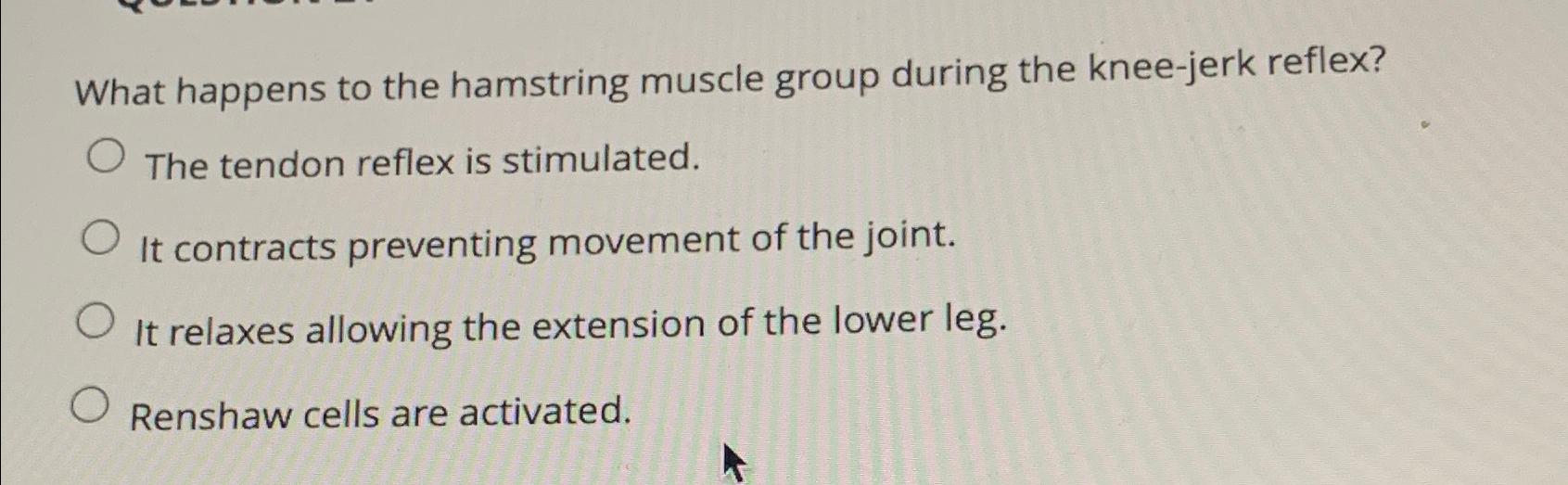 Solved What happens to the hamstring muscle group during the | Chegg.com