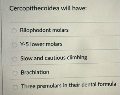 Solved Cercopithecoidea will have:Bilophodont molarsY-5 | Chegg.com