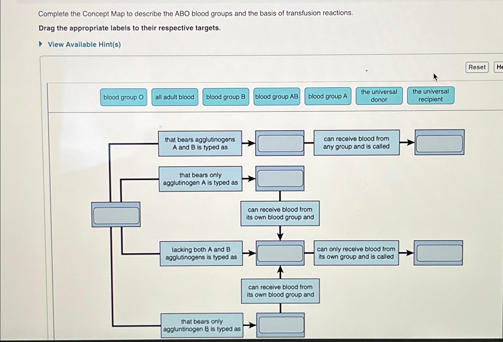 Solved Complete the Concept Map to describe the ABO blood | Chegg.com