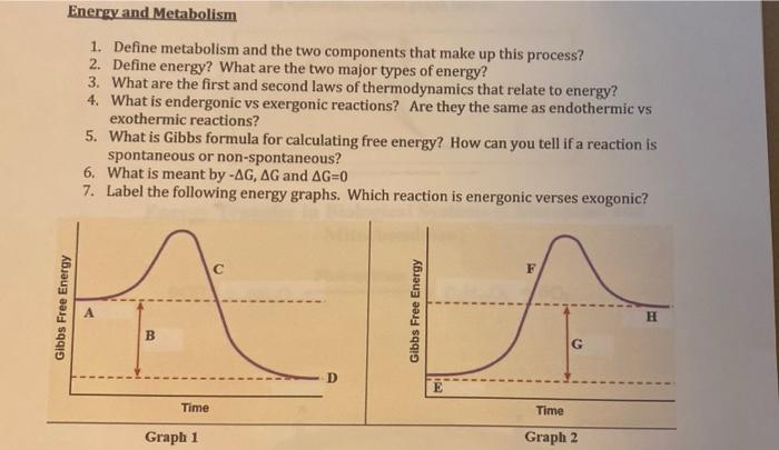 Solved Energy and Metabolism 1. Define metabolism and the | Chegg.com