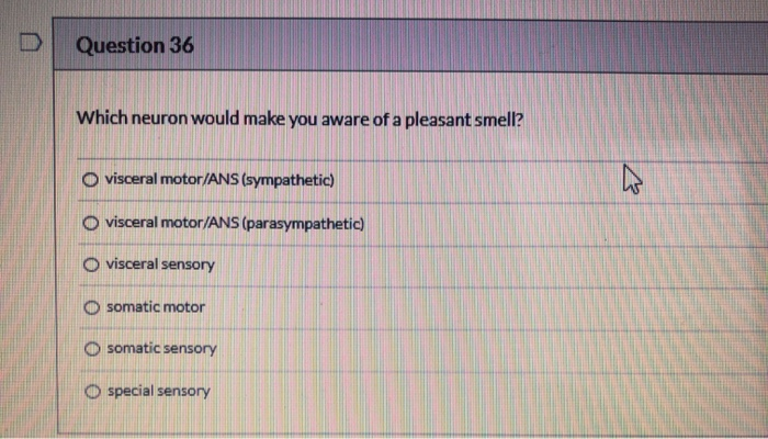 Solved Question 31 0.5 pts The next 6 questions are asking | Chegg.com