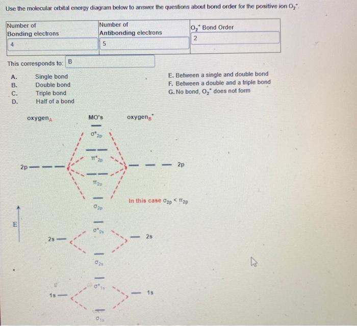 Solved Use the molecular orbital energy diagram below to | Chegg.com