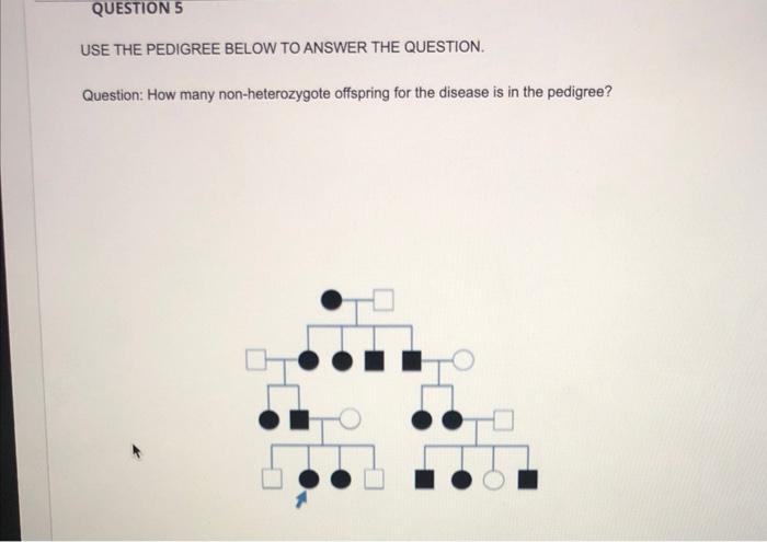 Solved QUESTIONS USE THE PEDIGREE BELOW TO ANSWER THE | Chegg.com