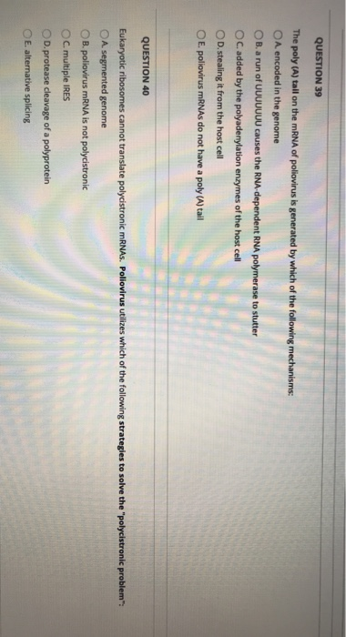 Solved QUESTION 39 The poly (A) tall on the mRNA of | Chegg.com