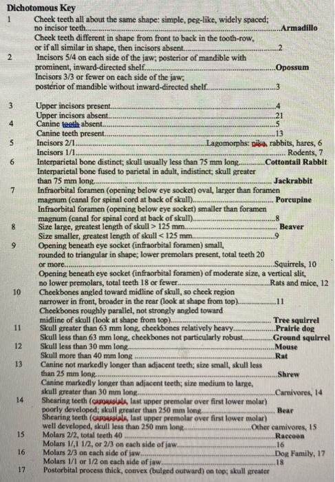 Solved 1 Armadillo Dichotomous Key Check teeth all about the | Chegg.com