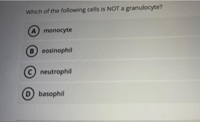 Solved Which of the following cells is NOT a granulocyte? A | Chegg.com